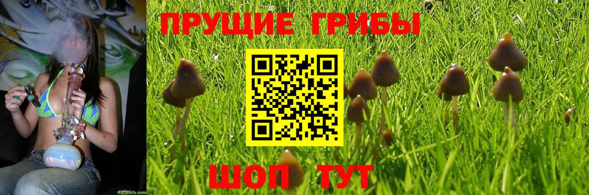 Псилоцибиновые грибы прущие грибы  Вход с VPN  Псилоцибиновые грибы мухоморы  Костомукша 